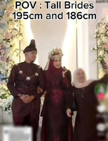 pempengaruh SchaYang meninggal dunia