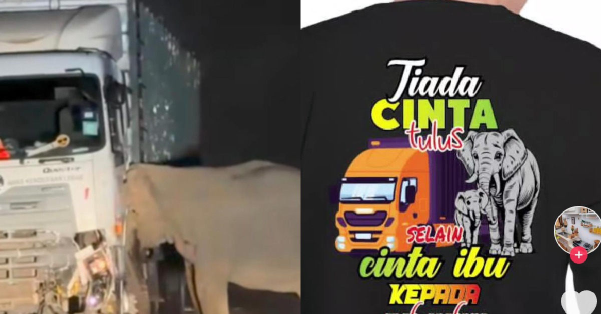 “Asal Boleh Buat Duit” – Tular Jual Baju Bertemakan Insiden Anak Gajah Mati, Netizen Kecam Tindakan ‘Tunggang’ Isu