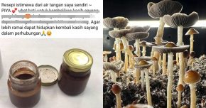 resepi puan dee cendawan khayal