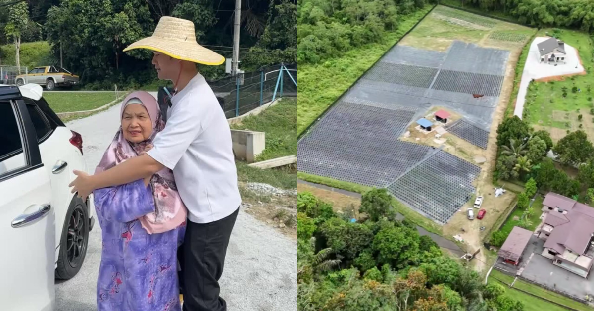 Berjaya Buka Ladang Seluas 4 Ekar, Nubhan Terima Pujian Netizen – “Hebat Anak Melayu”