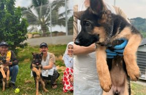 anjing K9 Bonda Rozita