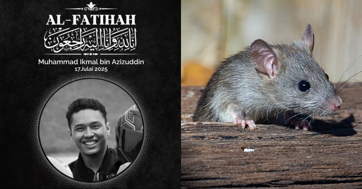 Terus Teguk Tin Minuman Tanpa Basuh, Lelaki Meninggal Dunia Akibat Kencing Tikus – “4 Hari Saja Kuman Rosakkan Jantung, Paru-Paru..”
