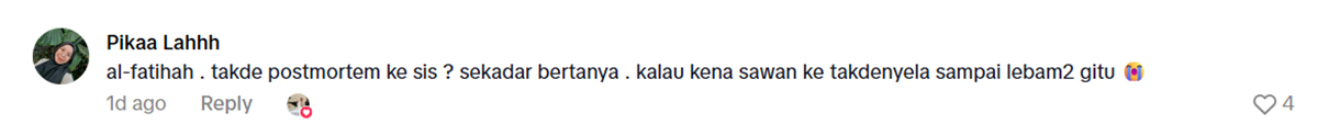 komen netizen - Syamsul Haris