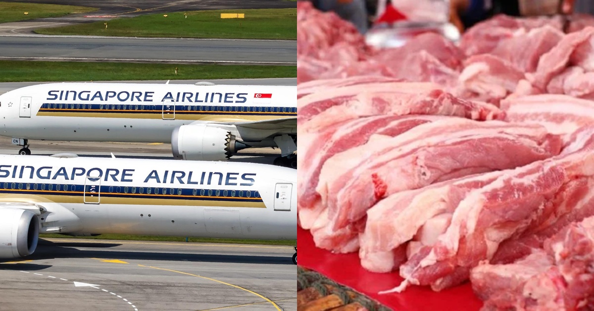 Krew Kabin Singapore Airlines Yakinkan Boleh Makan, Lelaki Muslim Terkejut Dapat Tahu Termakan Daging Khinzir