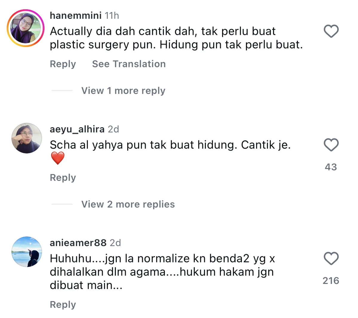 netizen kritik Scha Elinnea