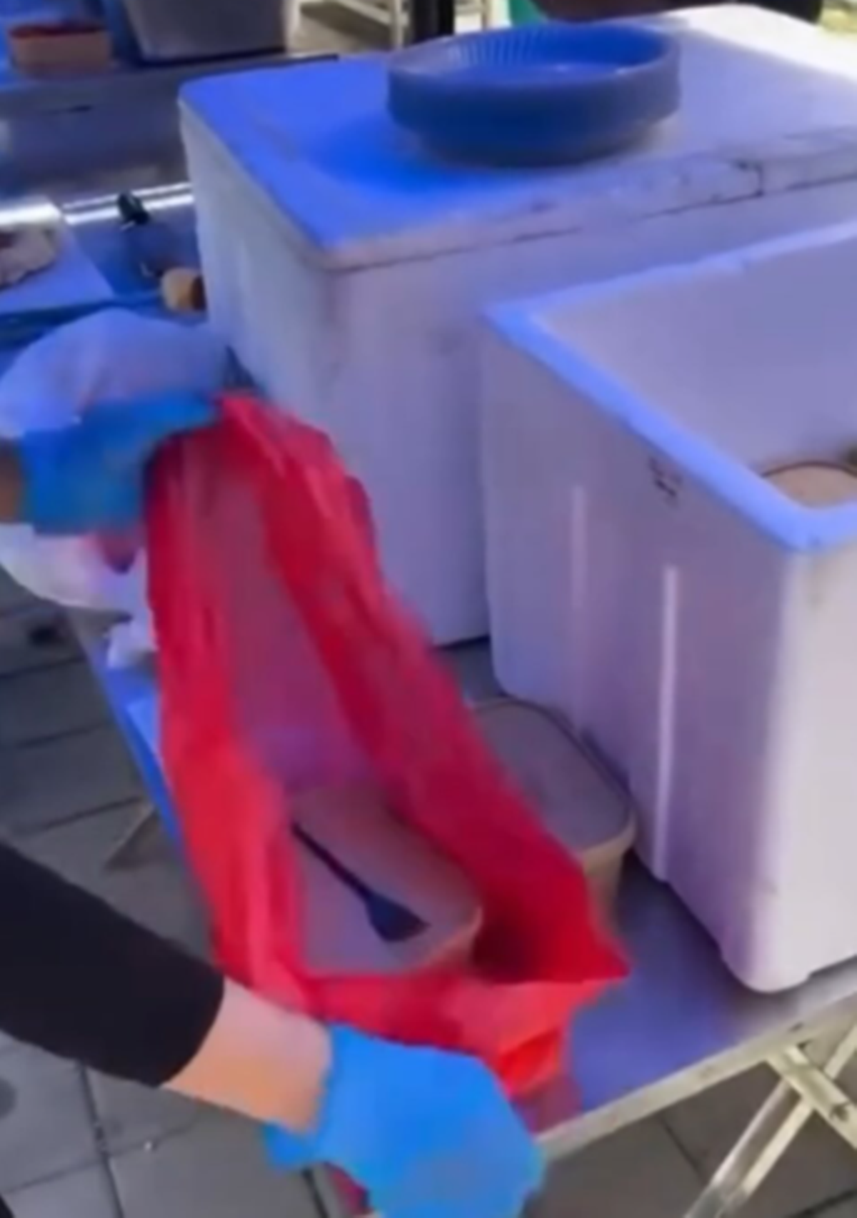 dewi plastik besar