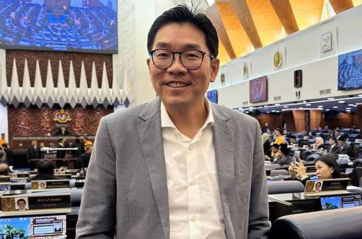 Ahli Parlimen Bayan Baru, Sim Tze Tzin