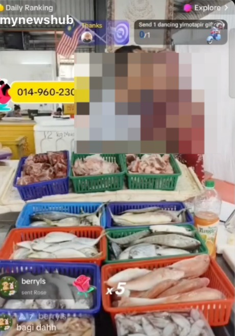 live jual ikan