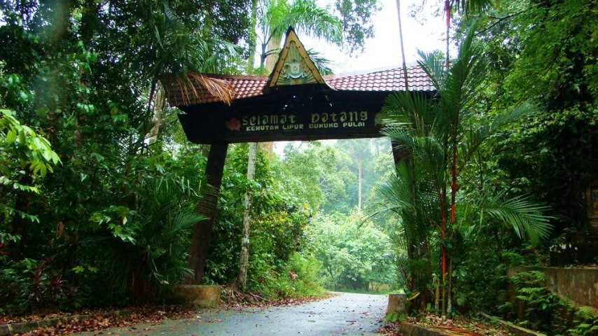 gunung pulai