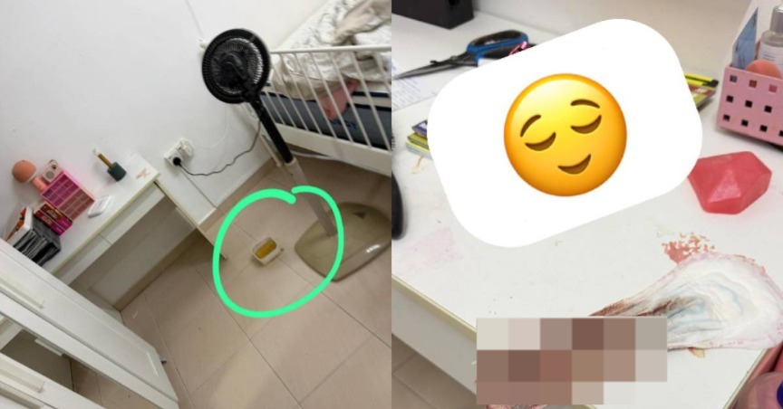 Pad Berdarah Atas Meja, Kencing Di Ruang Tamu, Kisah Housemate Pengotor Jadi Tumpuan Netizen