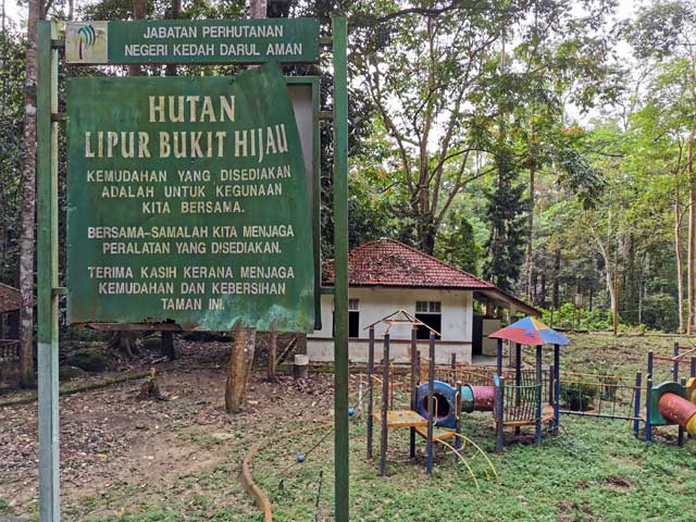 bukit hijau