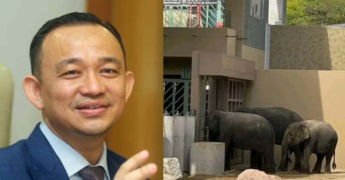 Maszlee Malik Maklum Gesaan Bawa Pulang Tiga Gajah ‘Sudah Sampai’ Ke Anwar Ibrahim