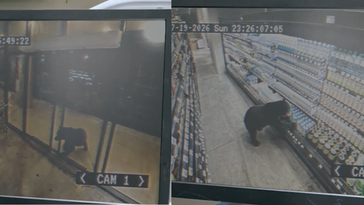 Misteri CCTV Kedai Serbaneka Terjawab, Rupanya Ini Yang Terjadi